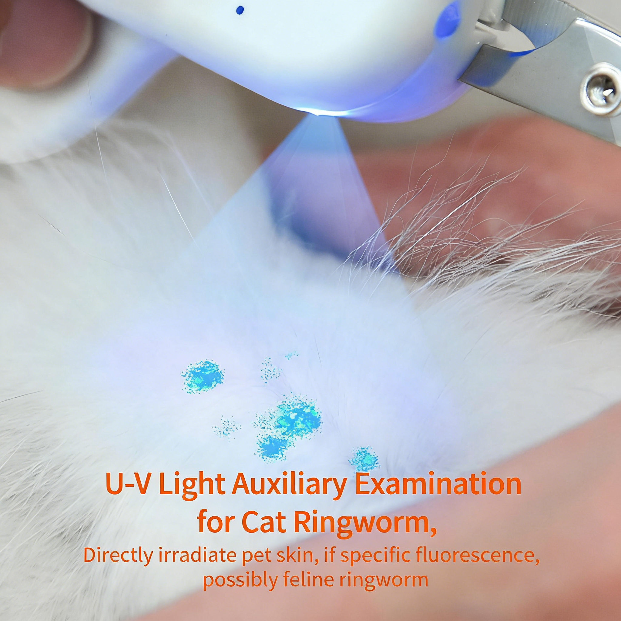 Pet Nail Clipper with LED & -U-V Light, Cat Claw Trimmer with Ultra Bright LED Light for Nail Bloodline to Avoid Over Cutting